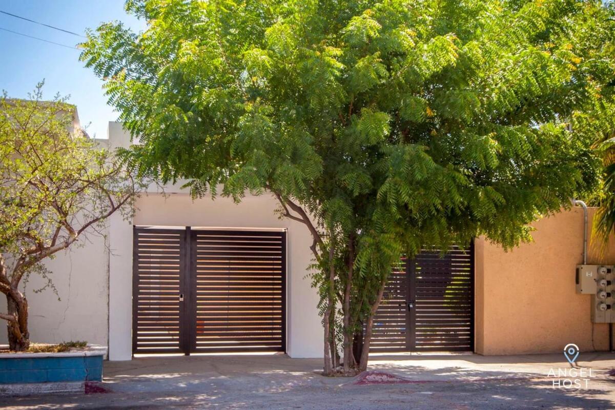 Downtown Room With Pool Bbq And Near All The Hotspots La Paz Ngoại thất bức ảnh